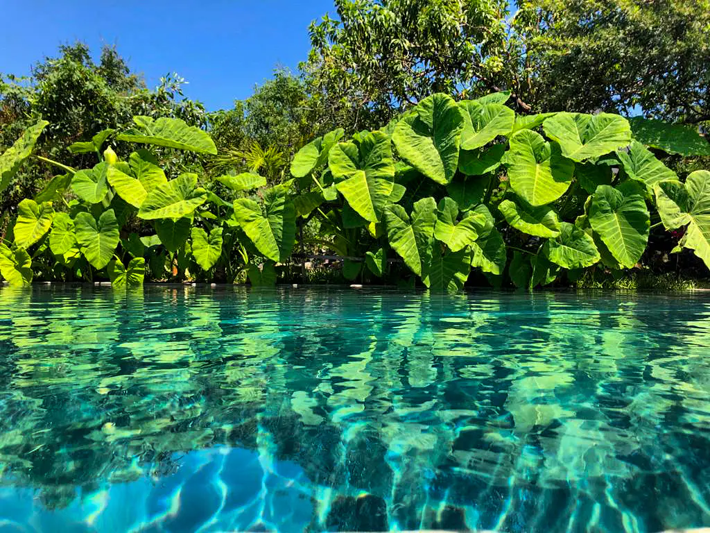 BEA630FC-32A8-42FE-BE67-453D6E9DF334 3.webp